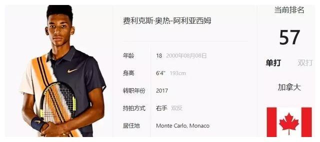 综上所述 综上所述